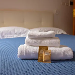 Oasi San Francesco Hotel